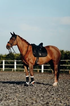 B Vertigo Drew Brushing Boots Wit Faux Fur Lining -Sports - Horse Equipment Shop 19201 BL 7