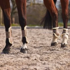 Horze Windsor Tendon Boots With Faux Fur Lining 37 Horze Windsor Tendon Boots With Faux Fur Lining -Sports - Horse Equipment Shop 19202 LBR 6