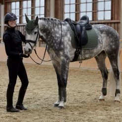 Horze Adepto Tendon Boots -Sports - Horse Equipment Shop 19203 bkgr 08