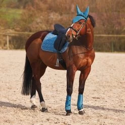Horze Marquess Neoprene Brushing Boots 29 Horze Marquess Neoprene Brushing Boots -Sports - Horse Equipment Shop 19204 AGNB 8