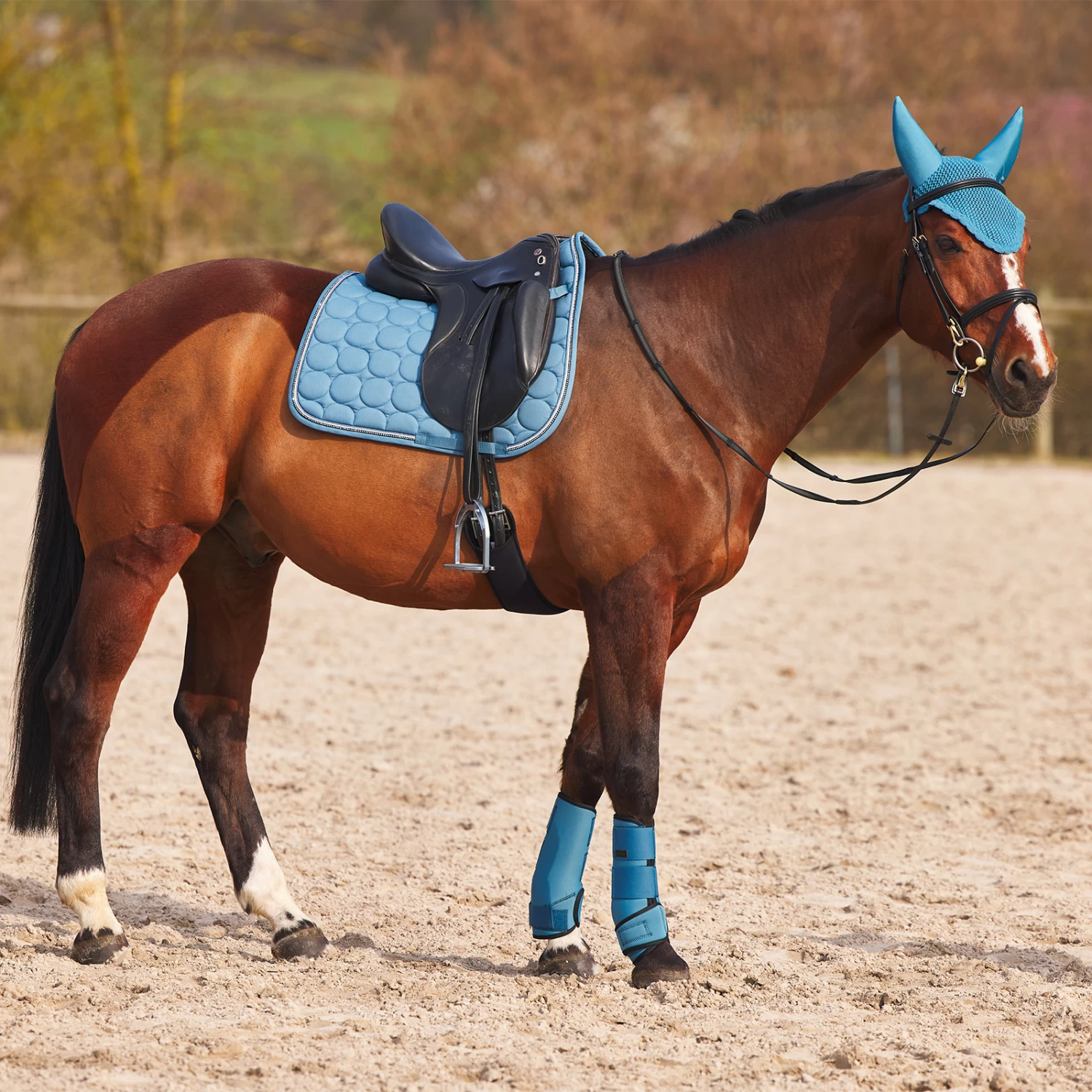 Horze Marquess Neoprene Brushing Boots 11 Horze Marquess Neoprene Brushing Boots - Image 9