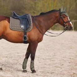 Horze Marquess Neoprene Brushing Boots 37 Horze Marquess Neoprene Brushing Boots -Sports - Horse Equipment Shop 19204 BOGR 7
