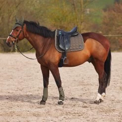 Horze Marquess Neoprene Brushing Boots 38 Horze Marquess Neoprene Brushing Boots -Sports - Horse Equipment Shop 19204 BOGR 8