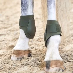 Horze Adepto Fetlock Boots 28 Horze Adepto Fetlock Boots -Sports - Horse Equipment Shop 19213 bkgr 07