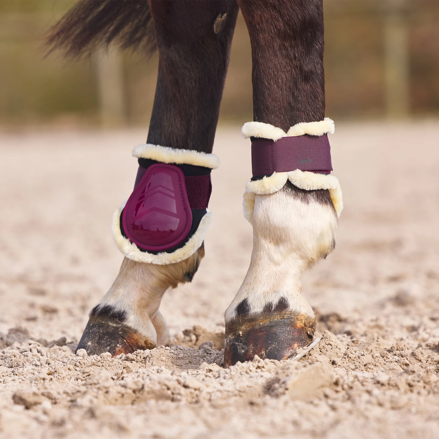 Horze Windsor Fetlock Boots With Faux Fur Lininig 11 Horze Windsor Fetlock Boots With Faux Fur Lininig - Image 9