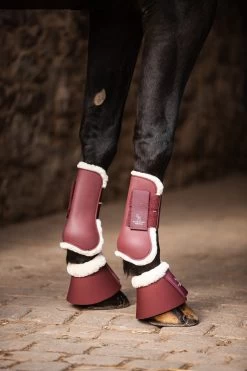 Horze Leighton Teens Collection Tendon Boots -Sports - Horse Equipment Shop 19272 rrbr 07