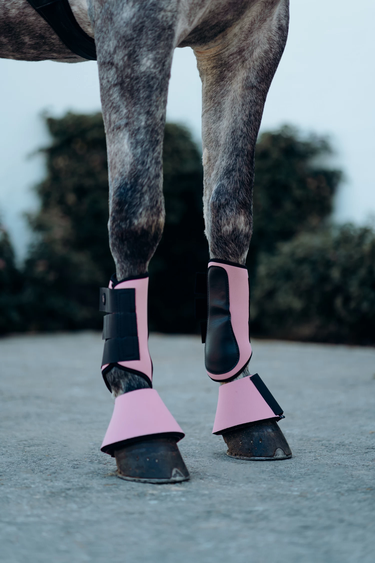 Horze Munich Brushing Boots 17 Horze Munich Brushing Boots - Image 15