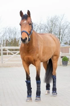 Horze Stable Boots Pro, Front 16 Horze Stable Boots Pro, Front -Sports - Horse Equipment Shop 19402 bl 07