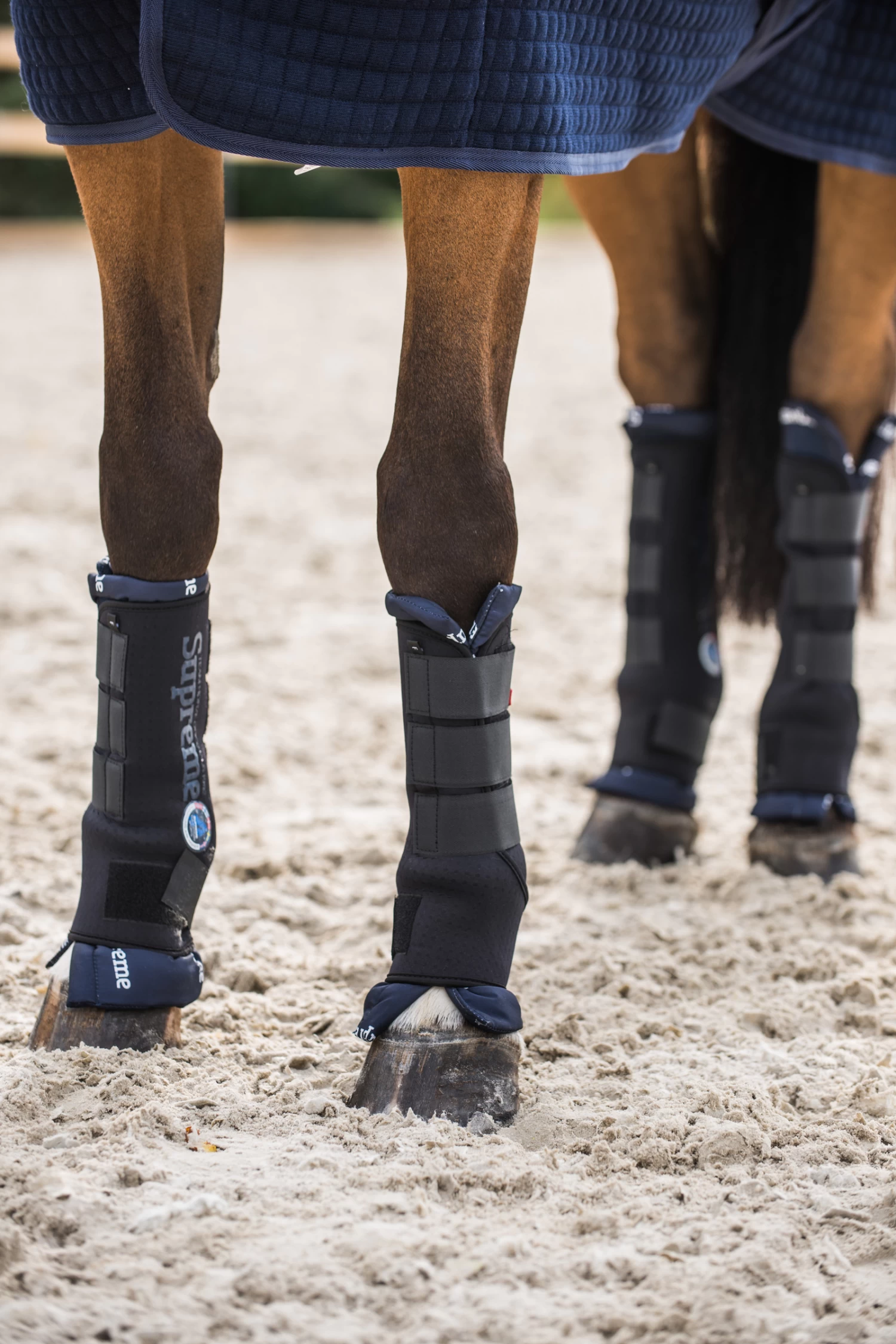 Horze Stable Boots Pro, Rear 10 Horze Stable Boots Pro, Rear - Image 8