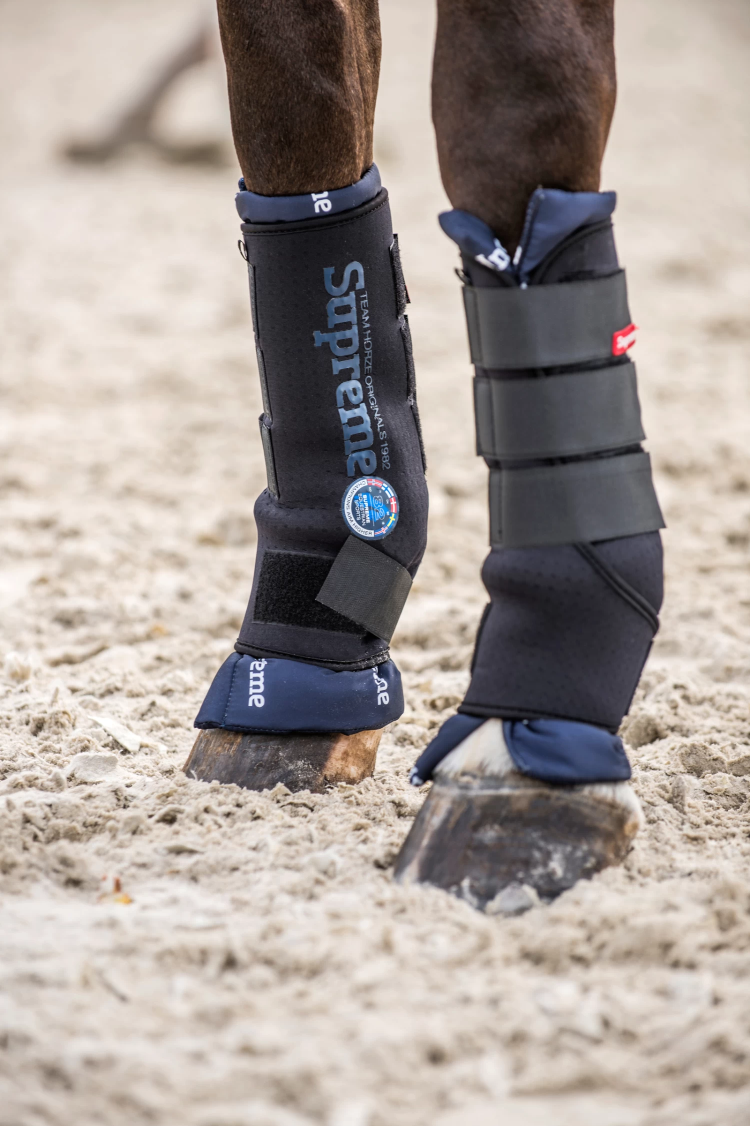Horze Stable Boots Pro, Rear 11 Horze Stable Boots Pro, Rear - Image 9