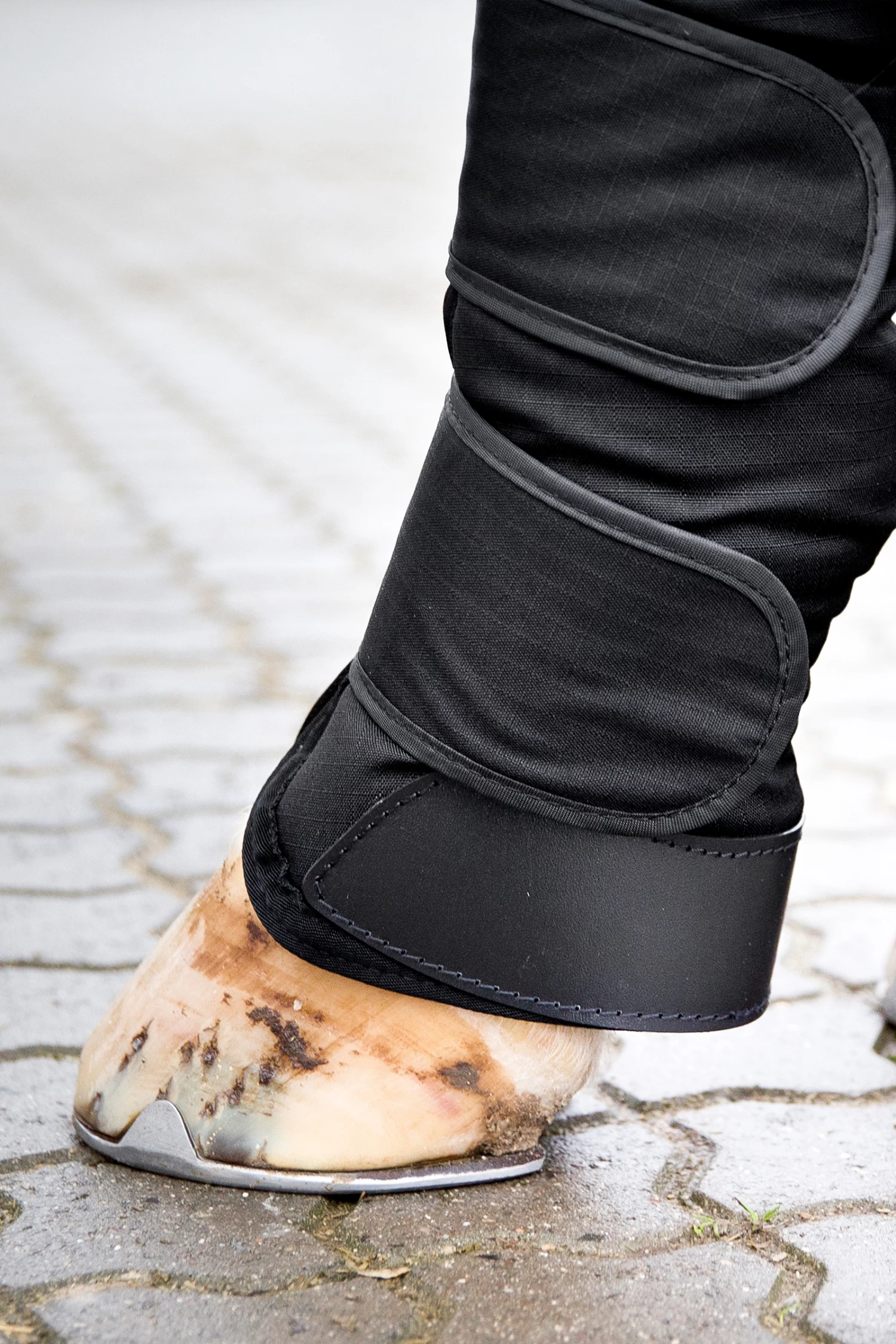 Horze Transport Boots 6 Horze Transport Boots - Image 4