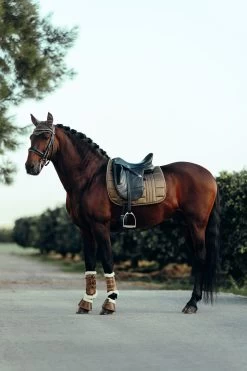 B Vertigo Drew Bellboots With Faux Fur Lining -Sports - Horse Equipment Shop 19711 UBBR 3