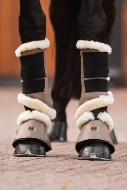 B Vertigo Quinn Bell Boots -Sports - Horse Equipment Shop 19737 SBE 5