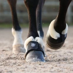 Horze Salerno Bell Boots -Sports - Horse Equipment Shop 19771 bl 04