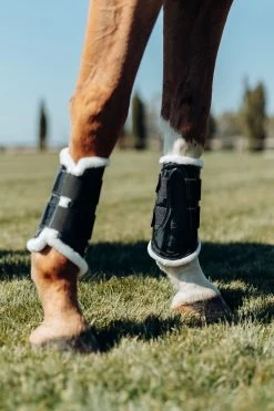 Horze Shiny Training/ Brushing Boots 23 Horze Shiny Training/ Brushing Boots -Sports - Horse Equipment Shop 19961 BL 6