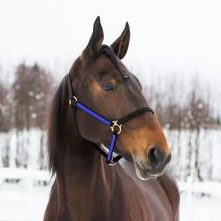Finntack Pro Synthetic Yankee Nylon Halter -Sports - Horse Equipment Shop 22121 BL B 1