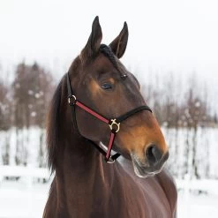 Finntack Pro Synthetic Yankee Nylon Halter -Sports - Horse Equipment Shop 22121 BL RE 1