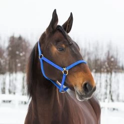 Finntack Pro Synthetic Yankee Nylon Halter -Sports - Horse Equipment Shop 22121 B 1