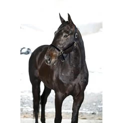 Finntack Pro Synthetic Yankee Nylon Halter