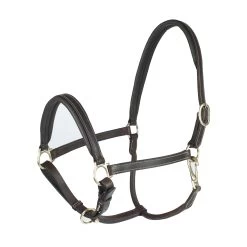 Horze Largo Leather Halter 8 Horze Largo Leather Halter -Sports - Horse Equipment Shop 22136 DBR 1
