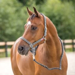 Horze Cooper Halter And Lead Set -Sports - Horse Equipment Shop 22219 PG 1