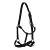 Karlslund Leather Halter -Sports - Horse Equipment Shop 22233 BL 1