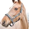 Horze Hamptons Halter -Sports - Horse Equipment Shop 22243 520 01