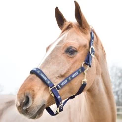 Horze Hamptons Halter -Sports - Horse Equipment Shop 22243 PDB 1