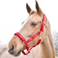 Horze Hamptons Halter -Sports - Horse Equipment Shop 22243 RE 1