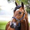 Finntack Pro Nylon Halter With Open Nose -Sports - Horse Equipment Shop 22258 B 1