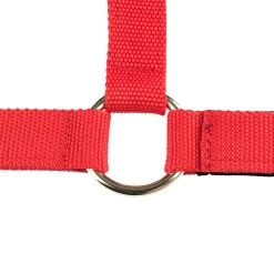Finntack Pro Nylon Halter With Open Nose -Sports - Horse Equipment Shop 22258 RE 1