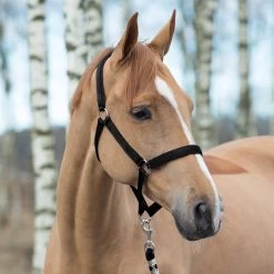 Horze Halter With Lining -Sports - Horse Equipment Shop 22261 BL 1