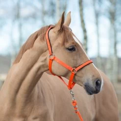 Horze Halter With Lining -Sports - Horse Equipment Shop 22261 OR 1