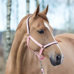 Horze Halter With Lining -Sports - Horse Equipment Shop 22261 PI 1