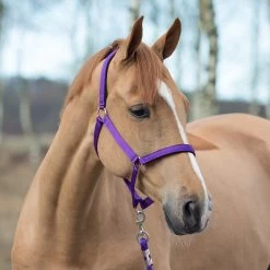 Horze Halter With Lining -Sports - Horse Equipment Shop 22261 PU 1