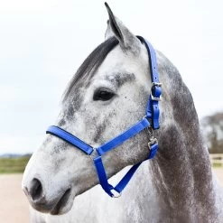 Horze Halter With Lining -Sports - Horse Equipment Shop 22261 RB 1