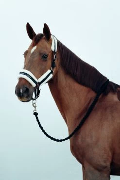 Horze Stanford Halter With Faux Fur Lining -Sports - Horse Equipment Shop 22279 BL 2