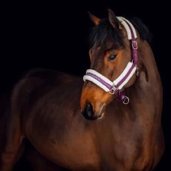 Horze Stanford Halter With Faux Fur Lining -Sports - Horse Equipment Shop 22279 EDPU 1