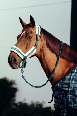 Horze Stanford Halter With Faux Fur Lining -Sports - Horse Equipment Shop 22279 STGR 2