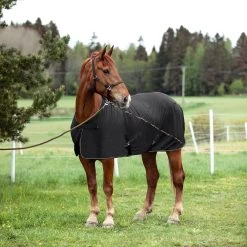 Sports - Horse Equipment Shop -Sports - Horse Equipment Shop 22289 BL ACG 2