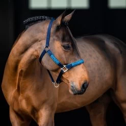Horze Chicago Halter & Lead Set -Sports - Horse Equipment Shop 22289 BRLB DB 2