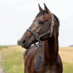 Horze Chicago Halter & Lead Set -Sports - Horse Equipment Shop 22289 CG PDB 1