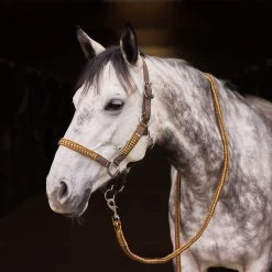 Horze Chicago Halter & Lead Set -Sports - Horse Equipment Shop 22289 CNBR MBZ 2