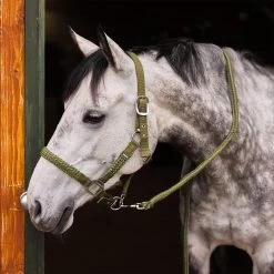 Horze Chicago Halter & Lead Set -Sports - Horse Equipment Shop 22289 CPGR LGGR 3