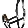 Horze Louis Leather Halter 1 Horze Louis Leather Halter -Sports - Horse Equipment Shop 22291 bl 01