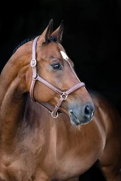 Horze Warren Soft Leather Halter 9 Horze Warren Soft Leather Halter -Sports - Horse Equipment Shop 22294 lbr 02