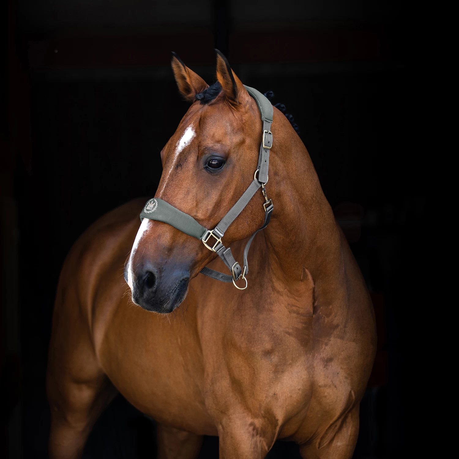 Horze Graz Halter 7 Horze Graz Halter - Image 6