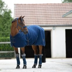 Horze Graz Halter 27 Horze Graz Halter -Sports - Horse Equipment Shop 22299 MJB 3