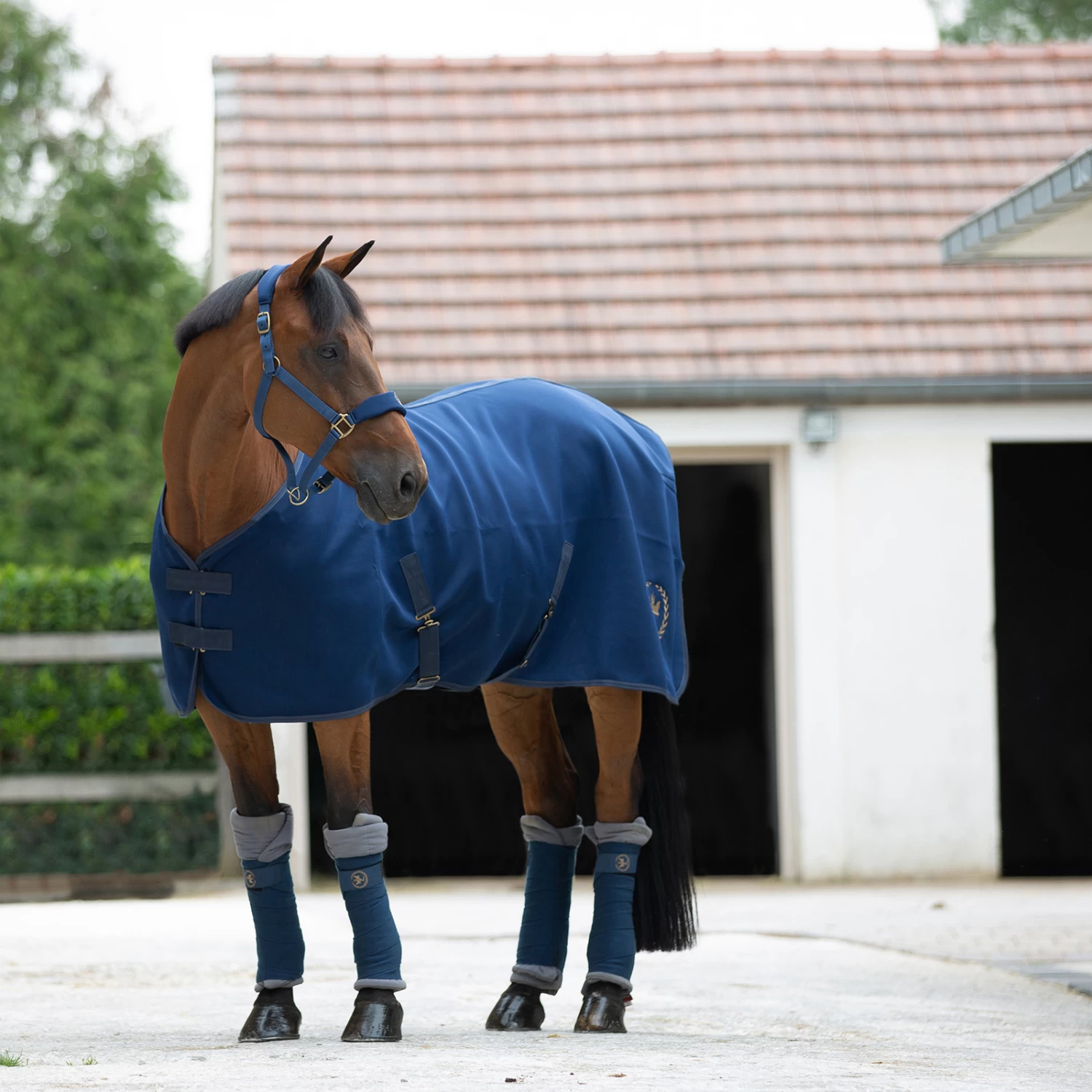 Horze Graz Halter 10 Horze Graz Halter - Image 9