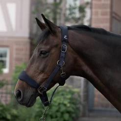 Horze Graz Halter 30 Horze Graz Halter -Sports - Horse Equipment Shop 22299 PDB 2